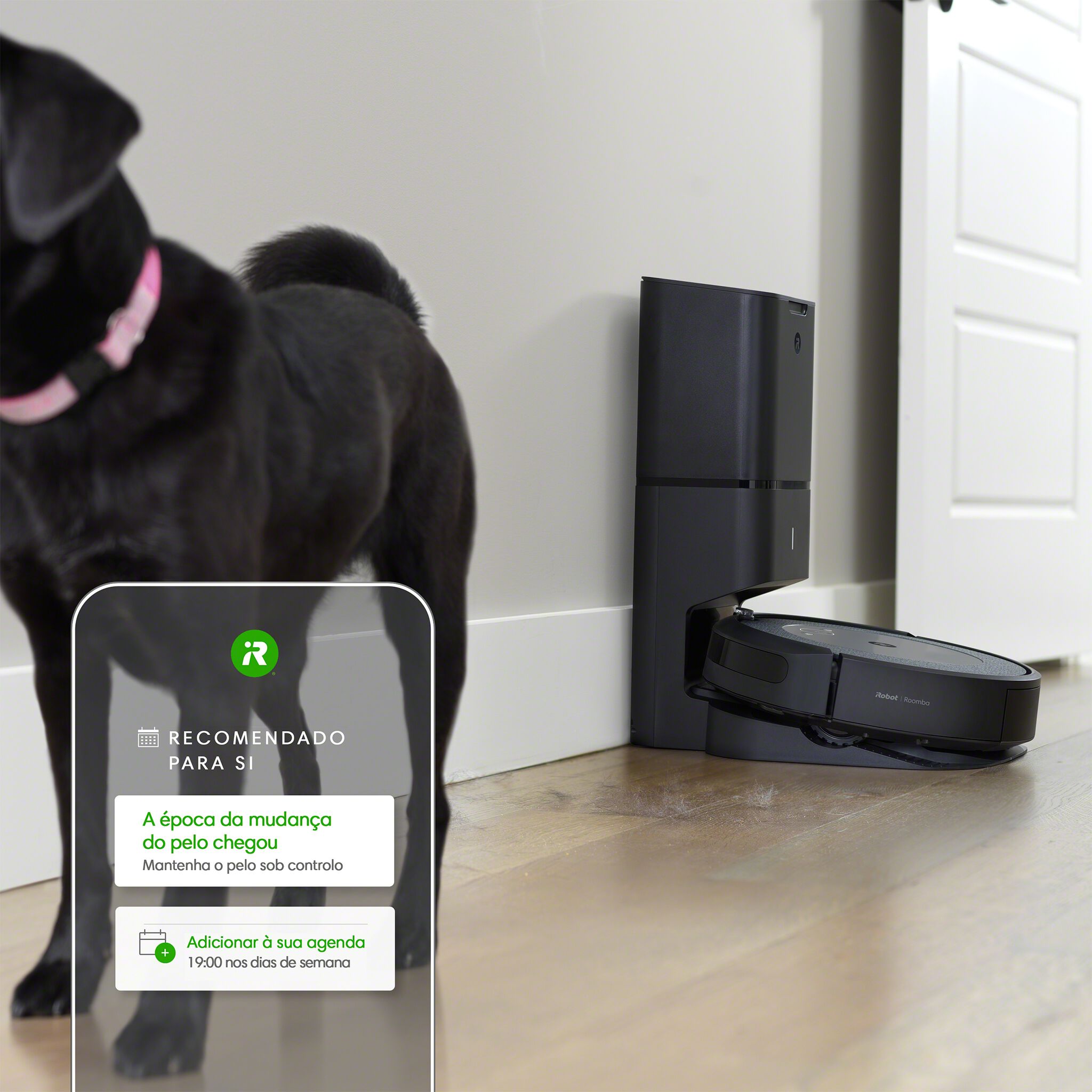 Pack Roomba® i3+ e Braava jet® m6 | iRobot®