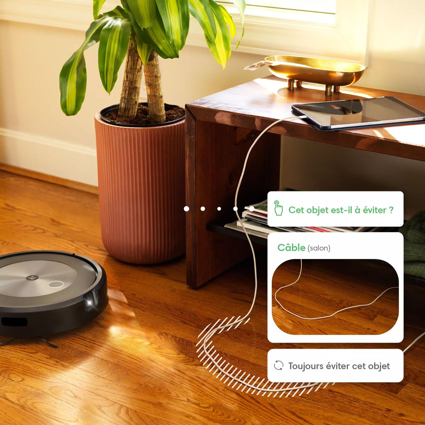 Cartographie des éléments qu’un Roomba® doit éviter